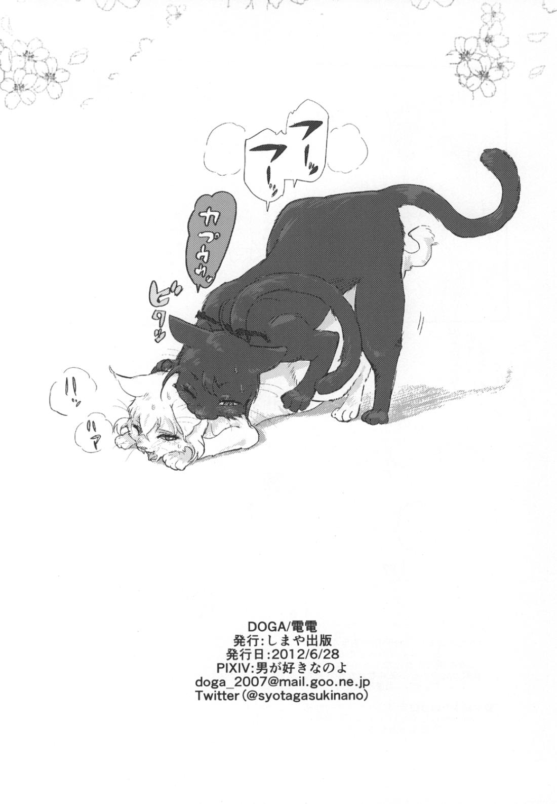 パンティコリック☆シュガー【刀剣乱舞/鯰骨】 page 44