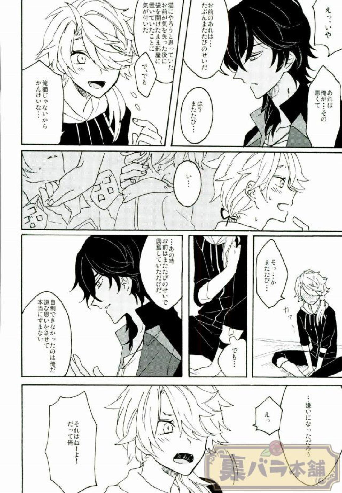 マタタビスイッチ【刀剣乱舞/くりしし】 page 23
