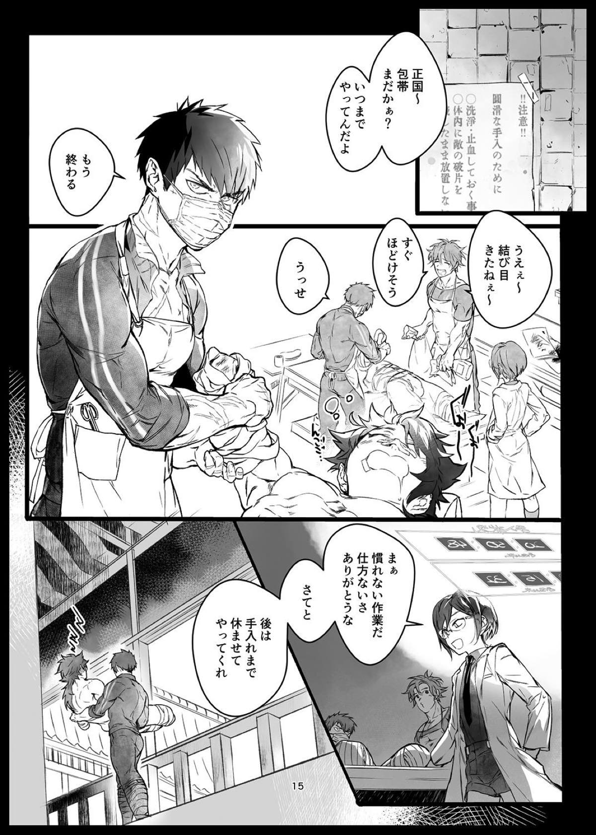 肉は毀れ、刃を食む。【刀剣乱舞/たぬむつ】 page 14