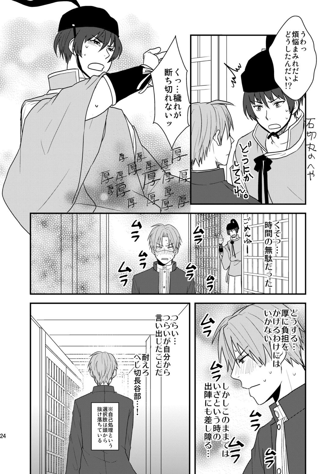 御しきれぬはおのれのこころ【刀剣乱舞/へし厚】 page 22