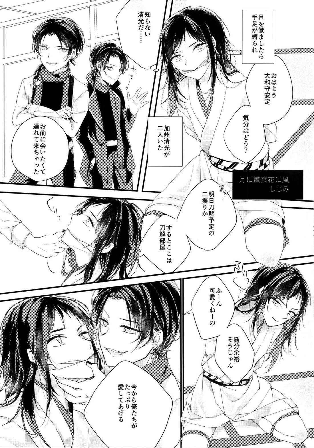 お前の気持なんか知らない【刀剣乱舞/清安】 page 29
