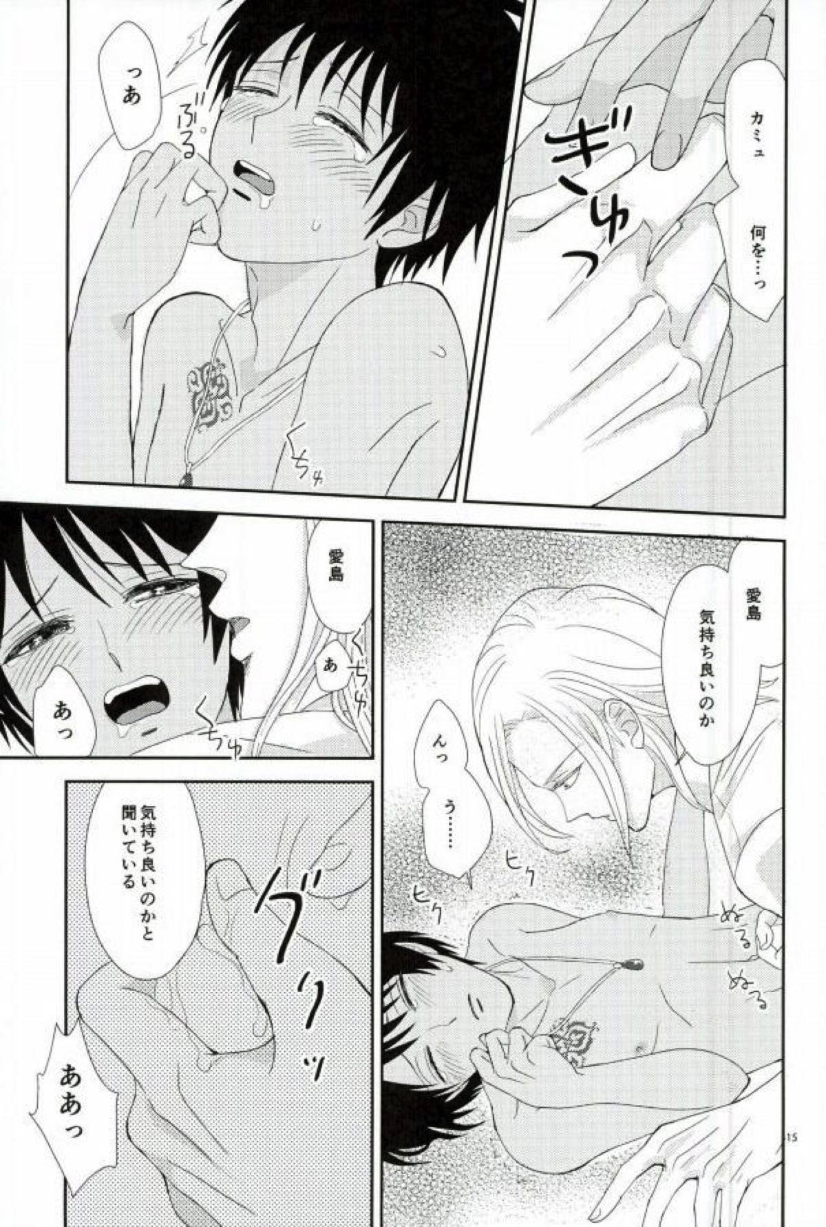 この熱は誰のせい？【うたの☆プリンスさまっ♪/カミュセシ】 page 14