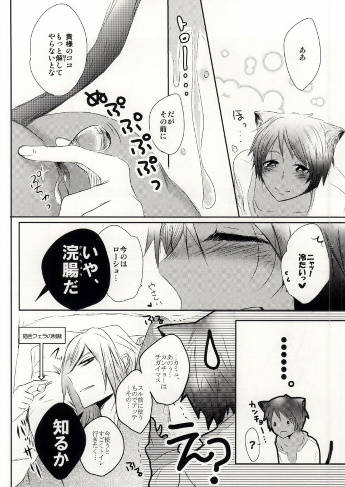 ア・ハウス・キャット【うたの☆プリンスさまっ♪/カミュセシ】 page 19