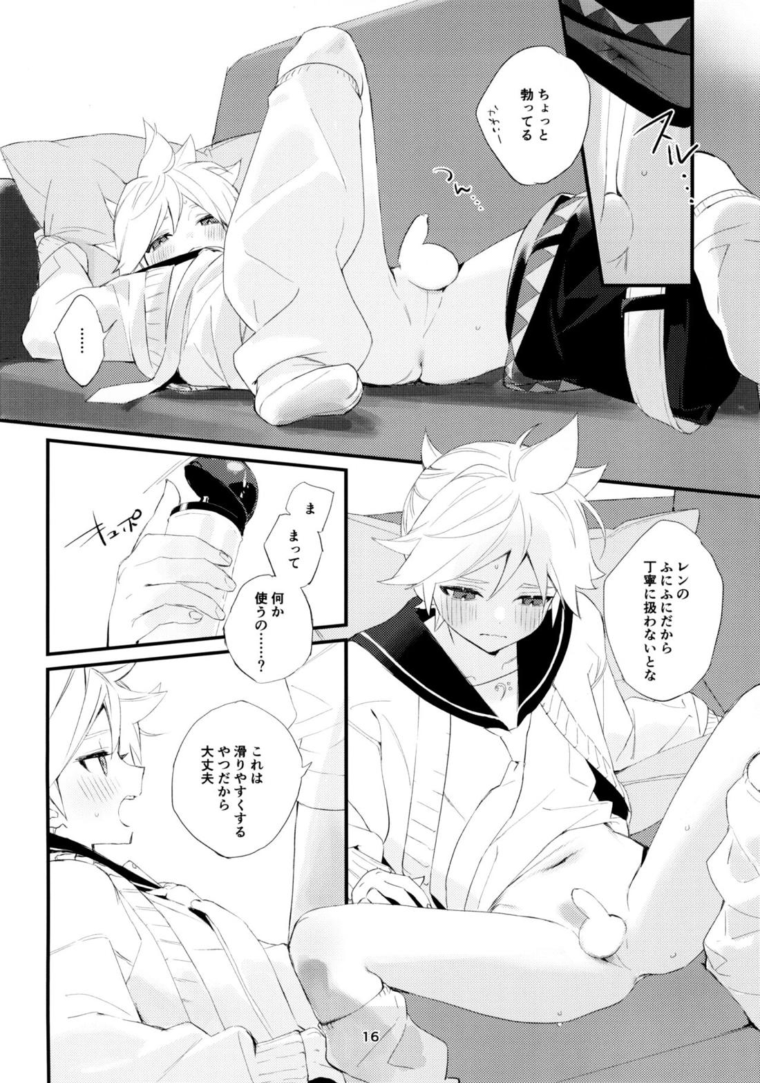 実践！マスターとなかよしライフスタートアップガイド【ボーカロイド/マスレン】 page 15