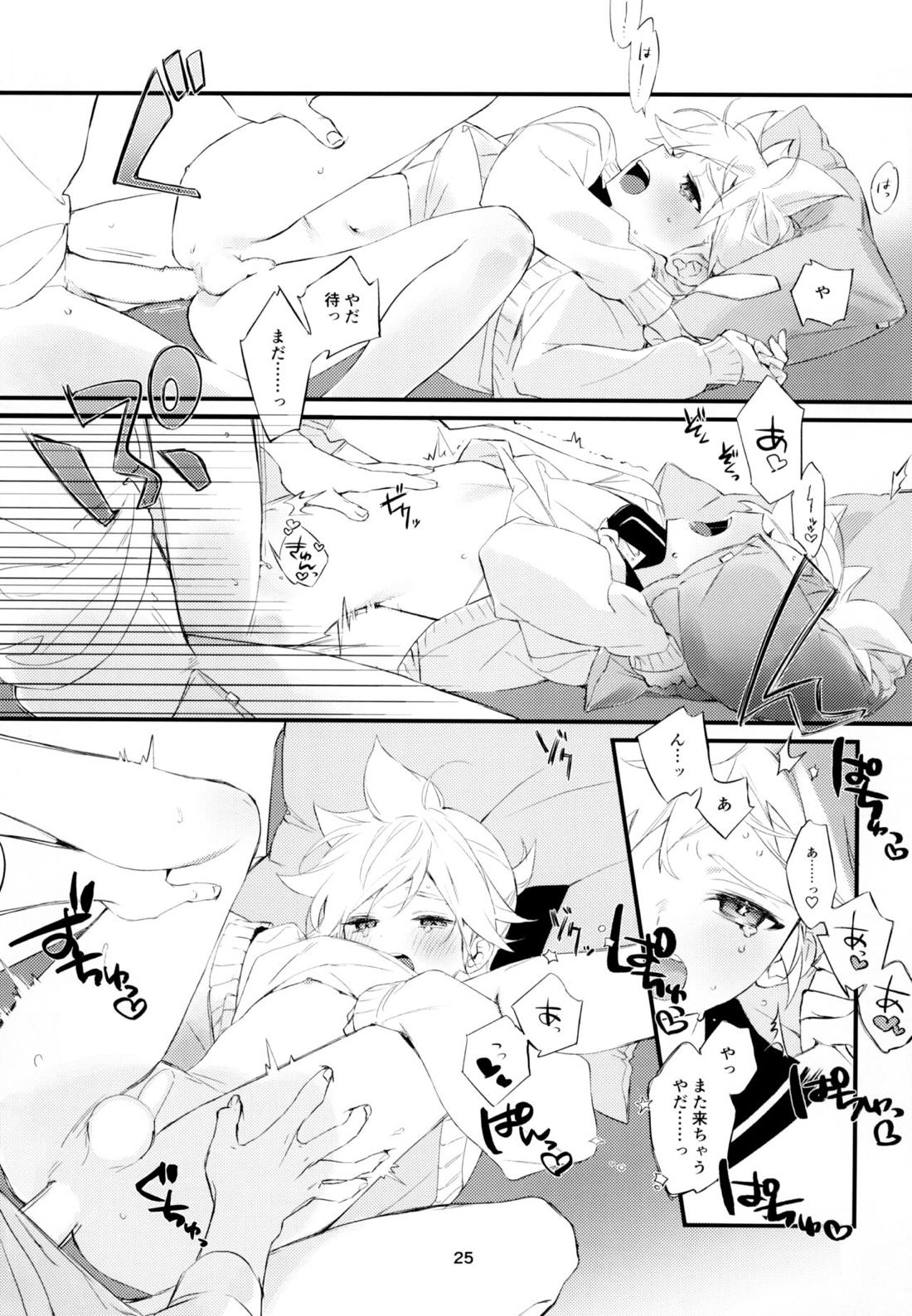 実践！マスターとなかよしライフスタートアップガイド【ボーカロイド/マスレン】 page 24