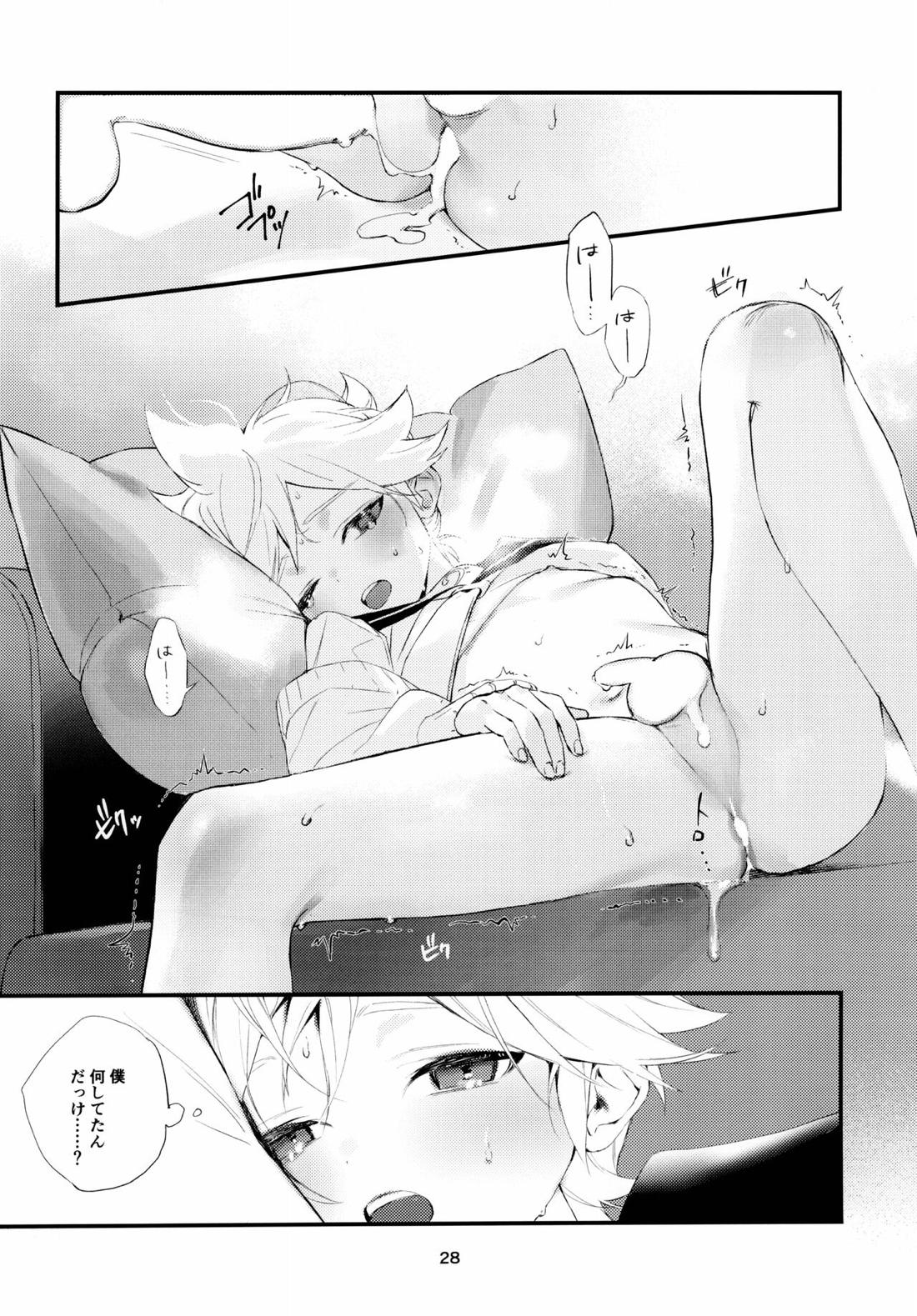 実践！マスターとなかよしライフスタートアップガイド【ボーカロイド/マスレン】 page 27