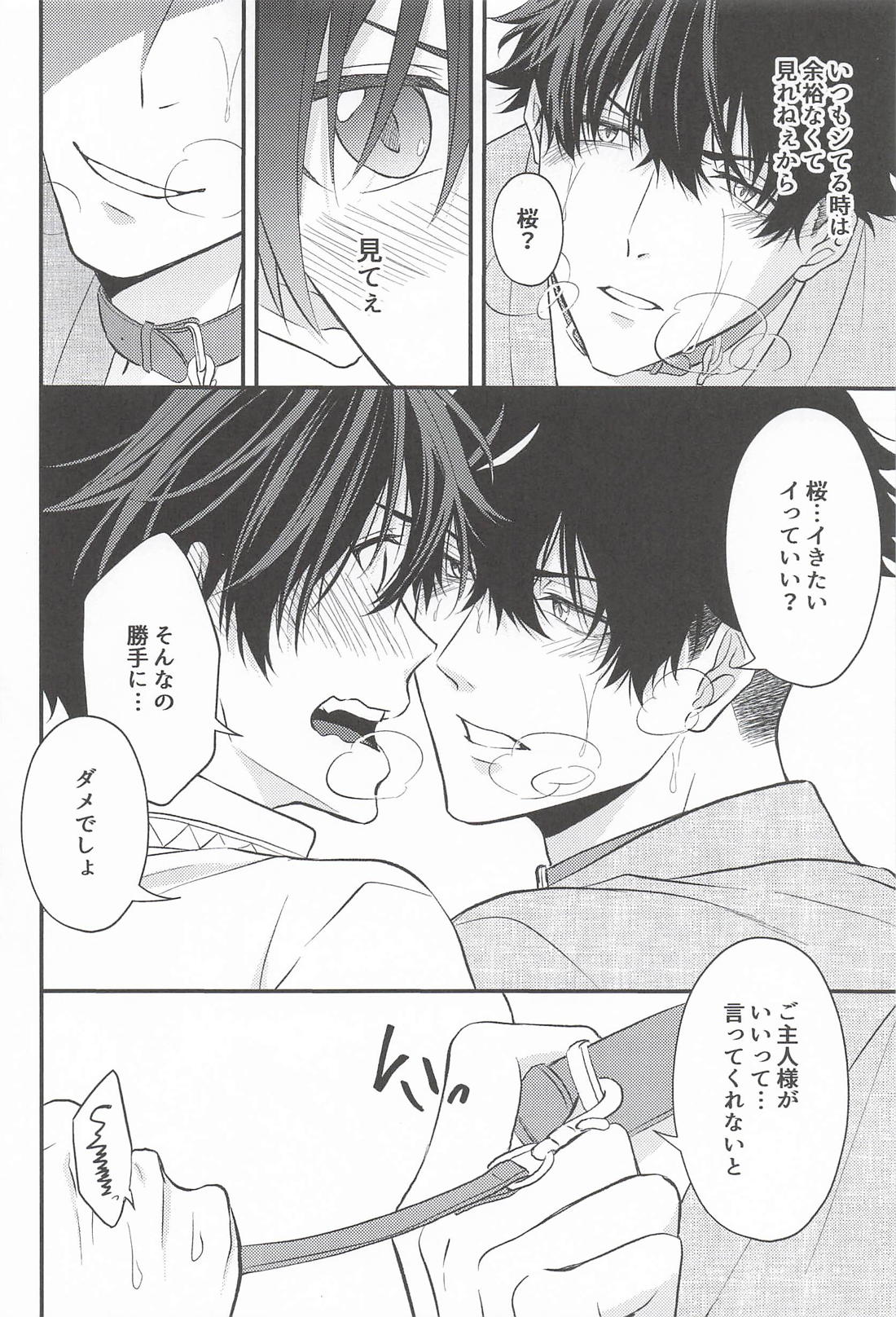 犬だと思ってたのに【WIND BREAKER/かめさく】 page 11