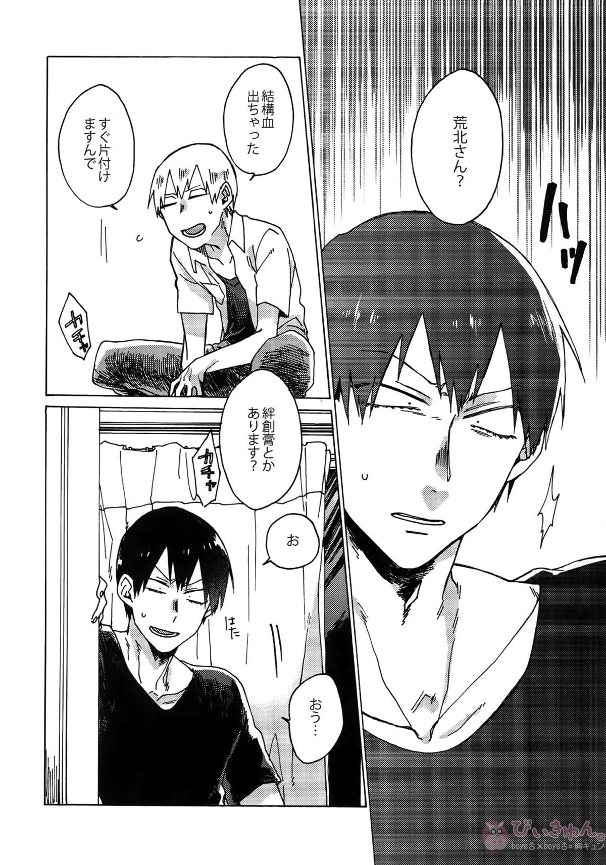 ぶちやぶれ心臓【弱虫ペダル/黒荒】 page 13