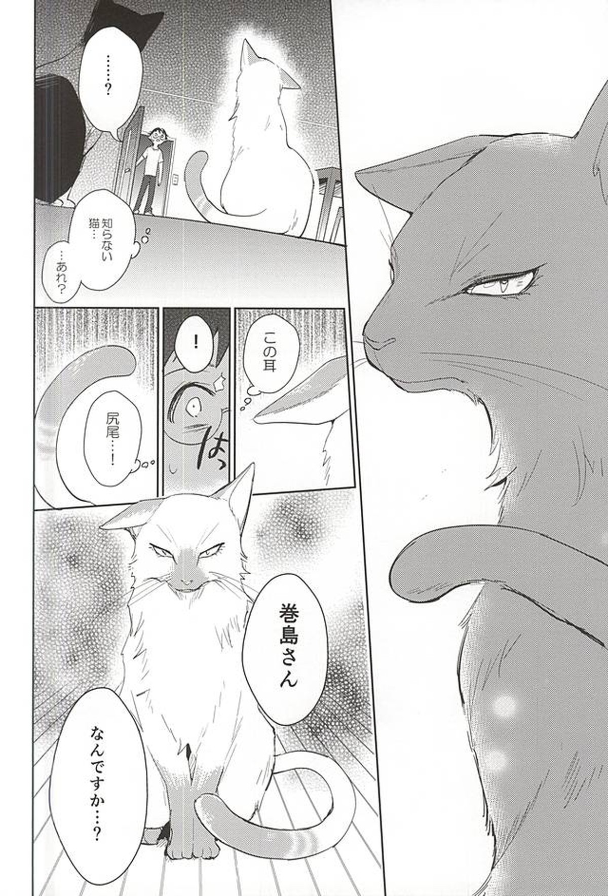 巻島さんが猫になってしまいました。【弱虫ペダル/巻坂】 page 25