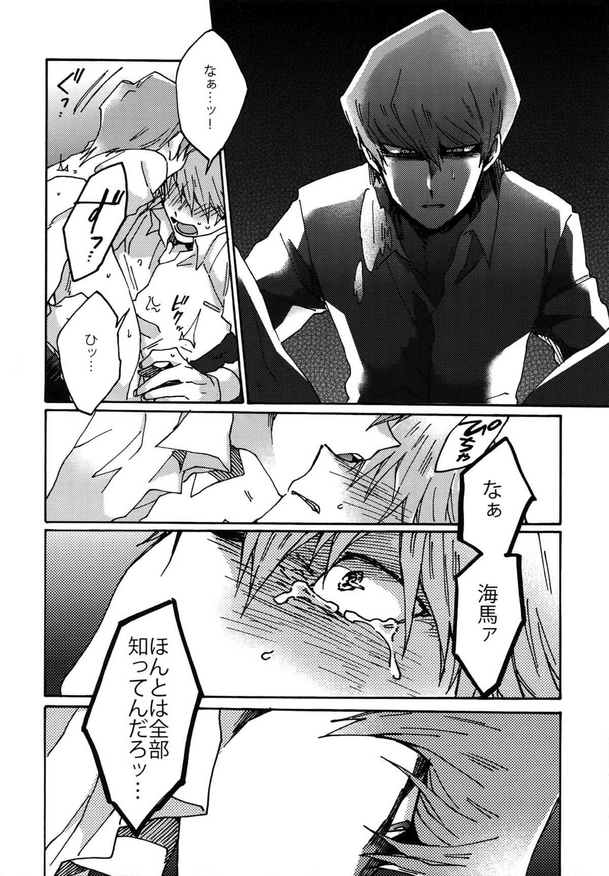 阿鼻にだってとどかない【遊戯王/海城】 page 29