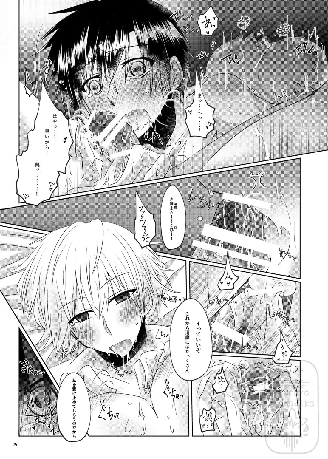 イイ事づくしの魔力供給【金色のガッシュ!!/ガ清】 page 18
