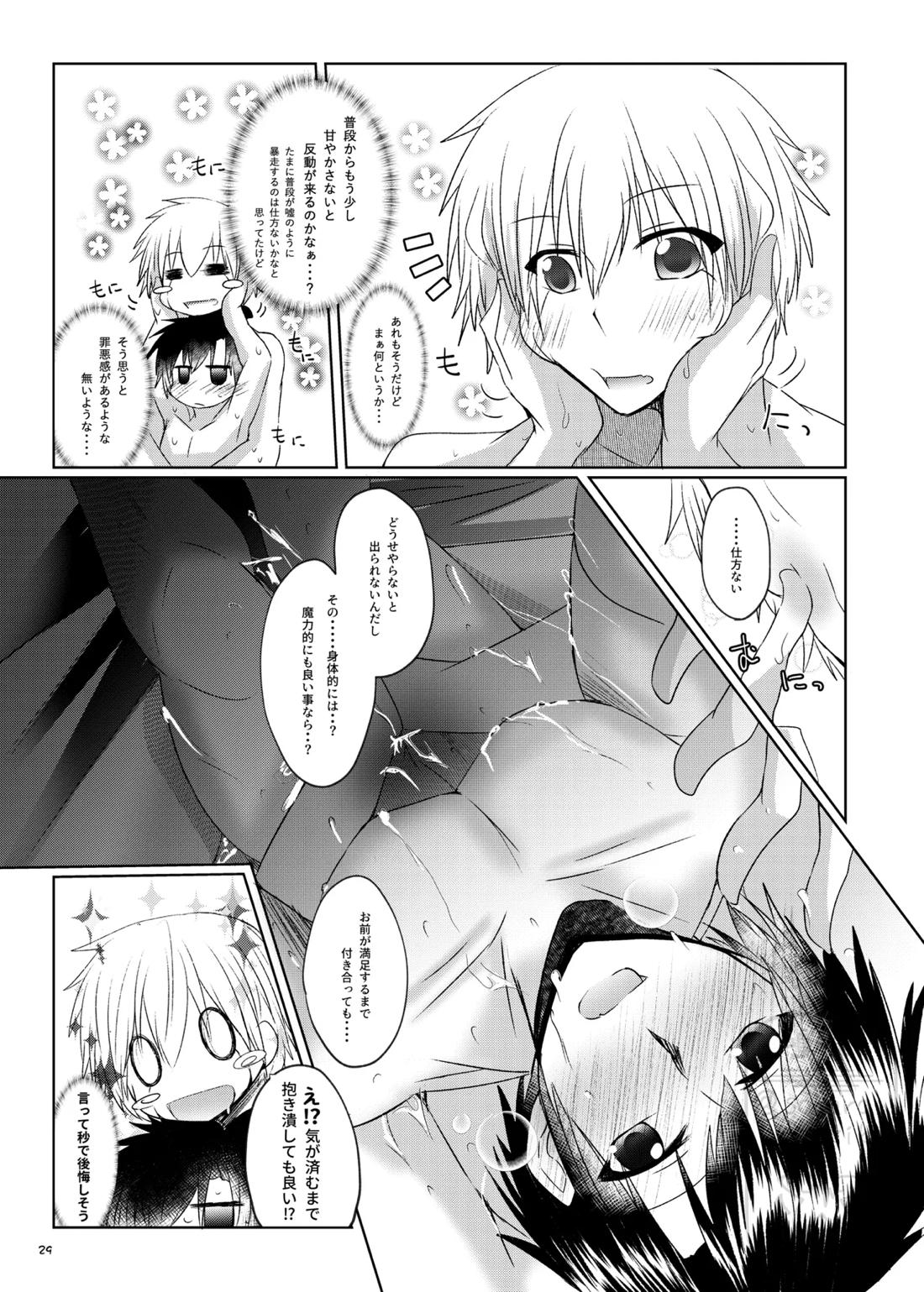 イイ事づくしの魔力供給【金色のガッシュ!!/ガ清】 page 28